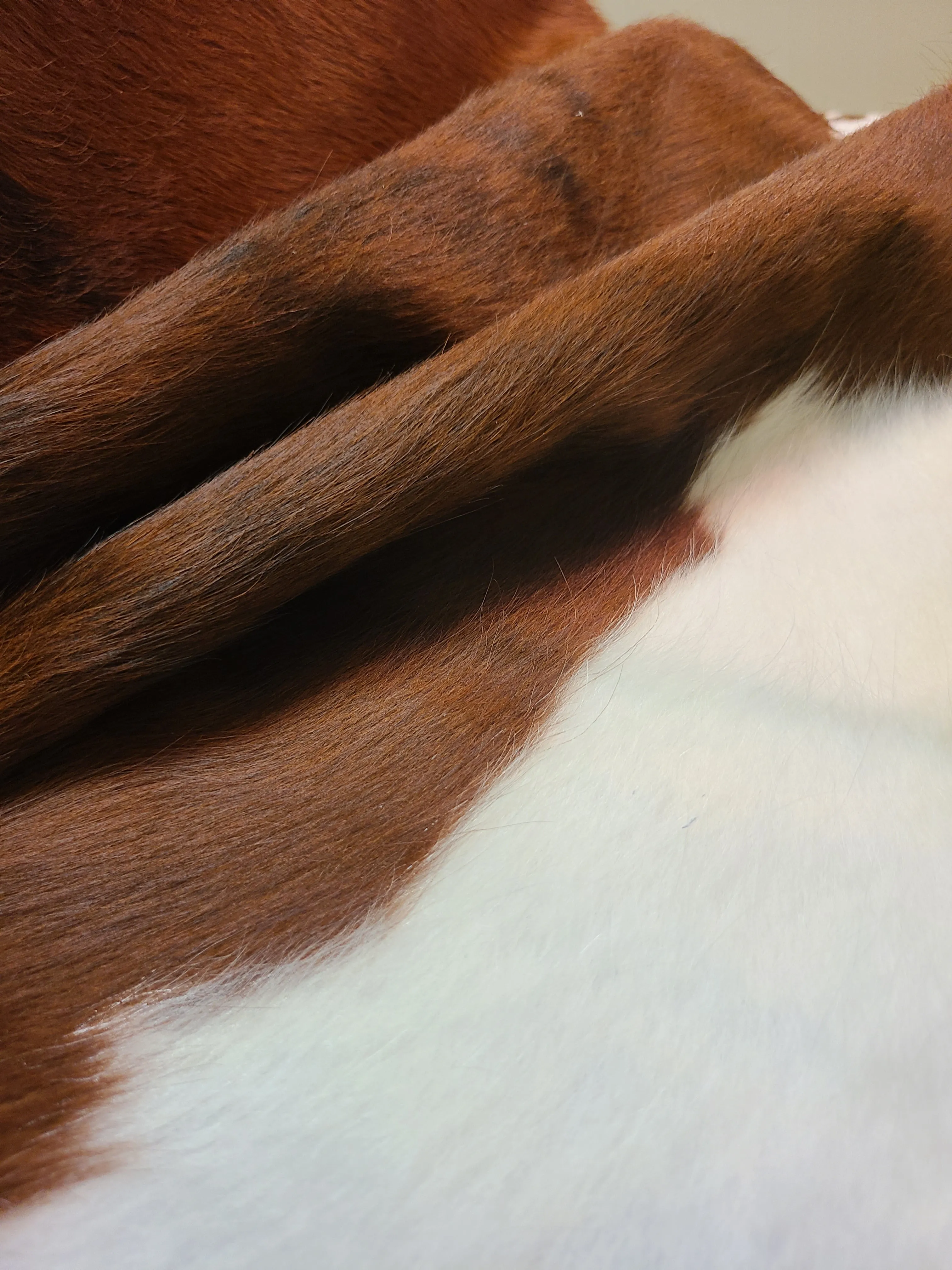 Brazilian Cowhide Rug - Brown & White Spotted - 8 ft x 6 ft