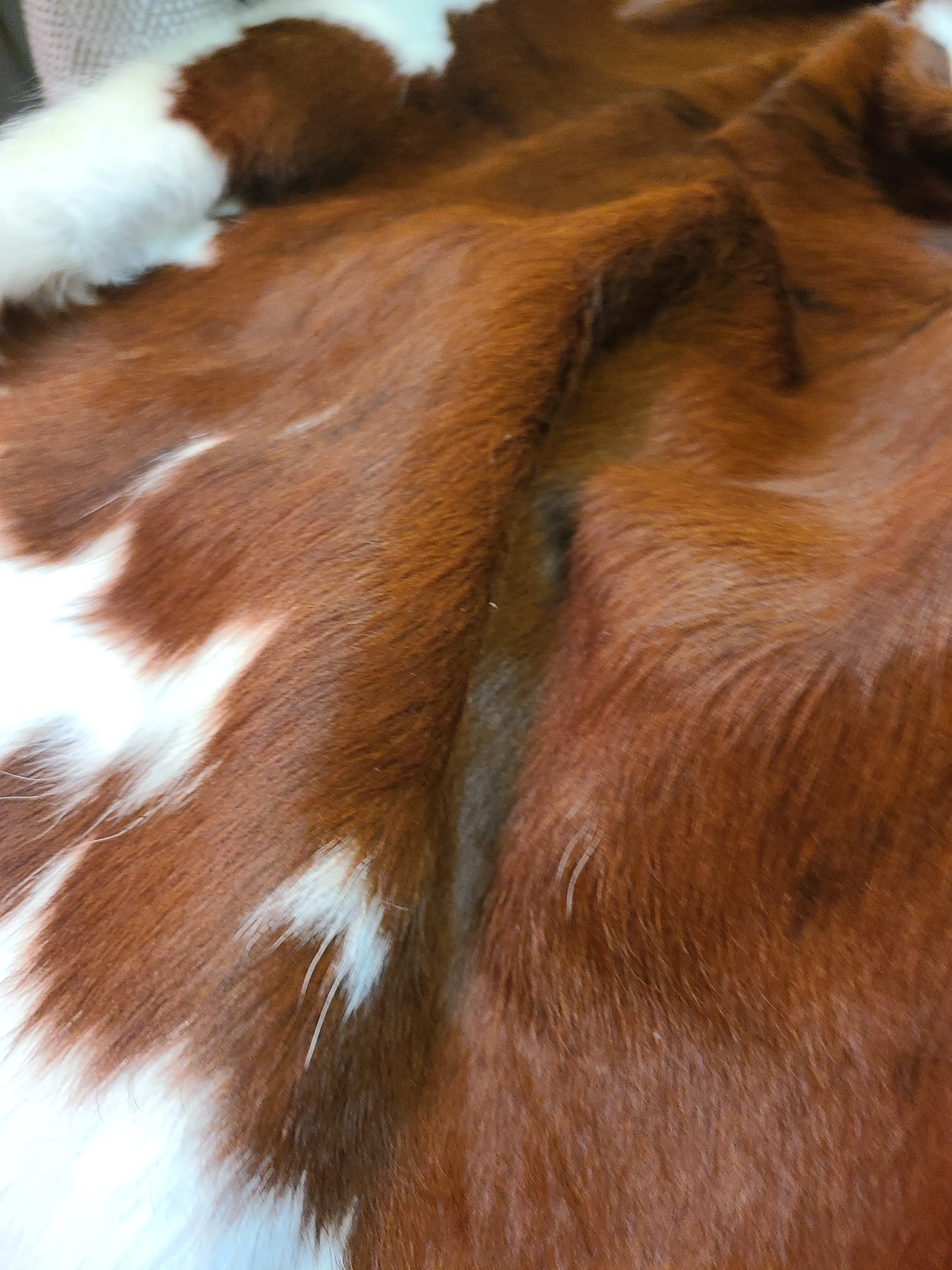 Brazilian Cowhide Rug - Brown & White Spotted - 8 ft x 6 ft