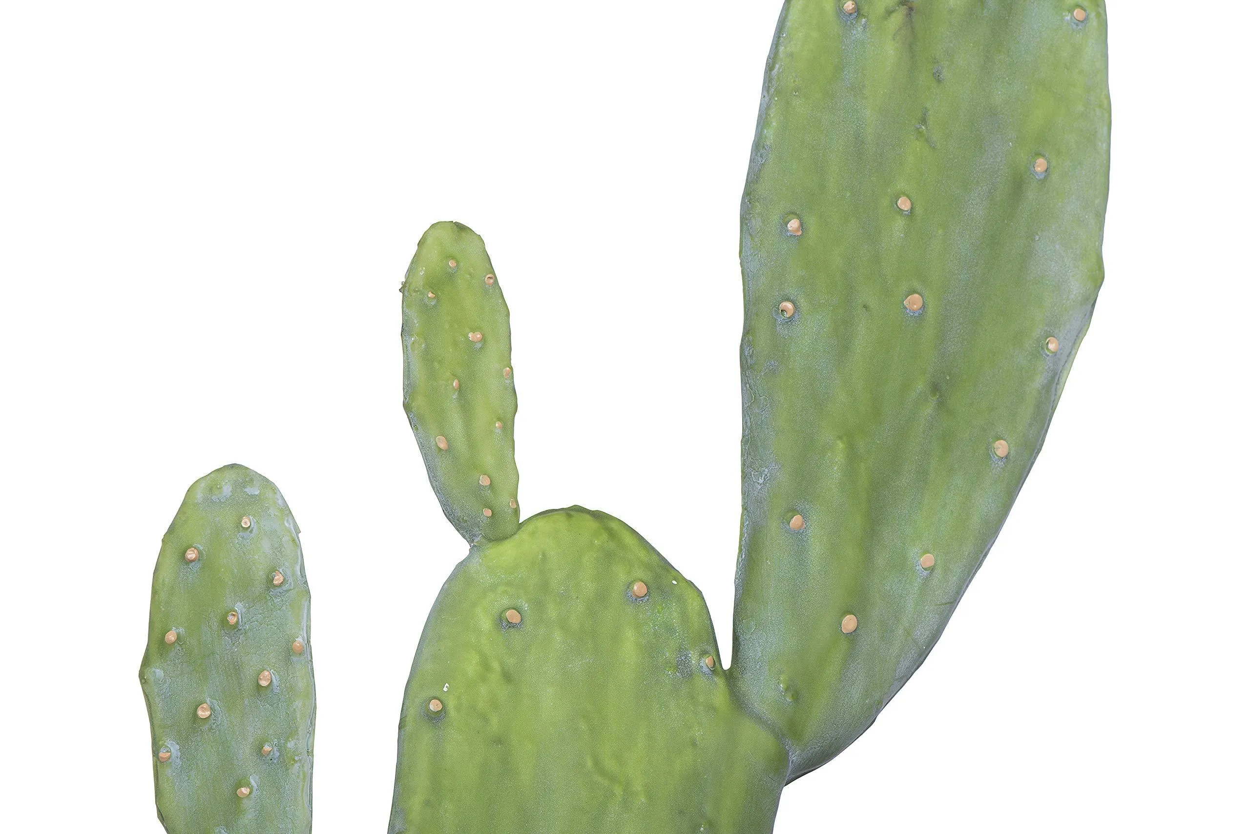 Creative Co-op Cactus in Pot Faux Botanical, Green