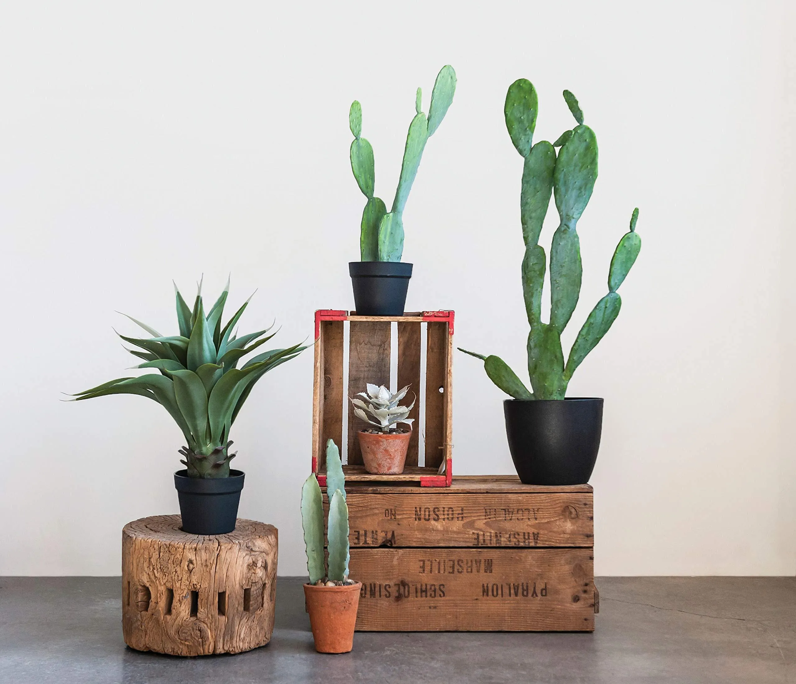 Creative Co-op Cactus in Pot Faux Botanical, Green