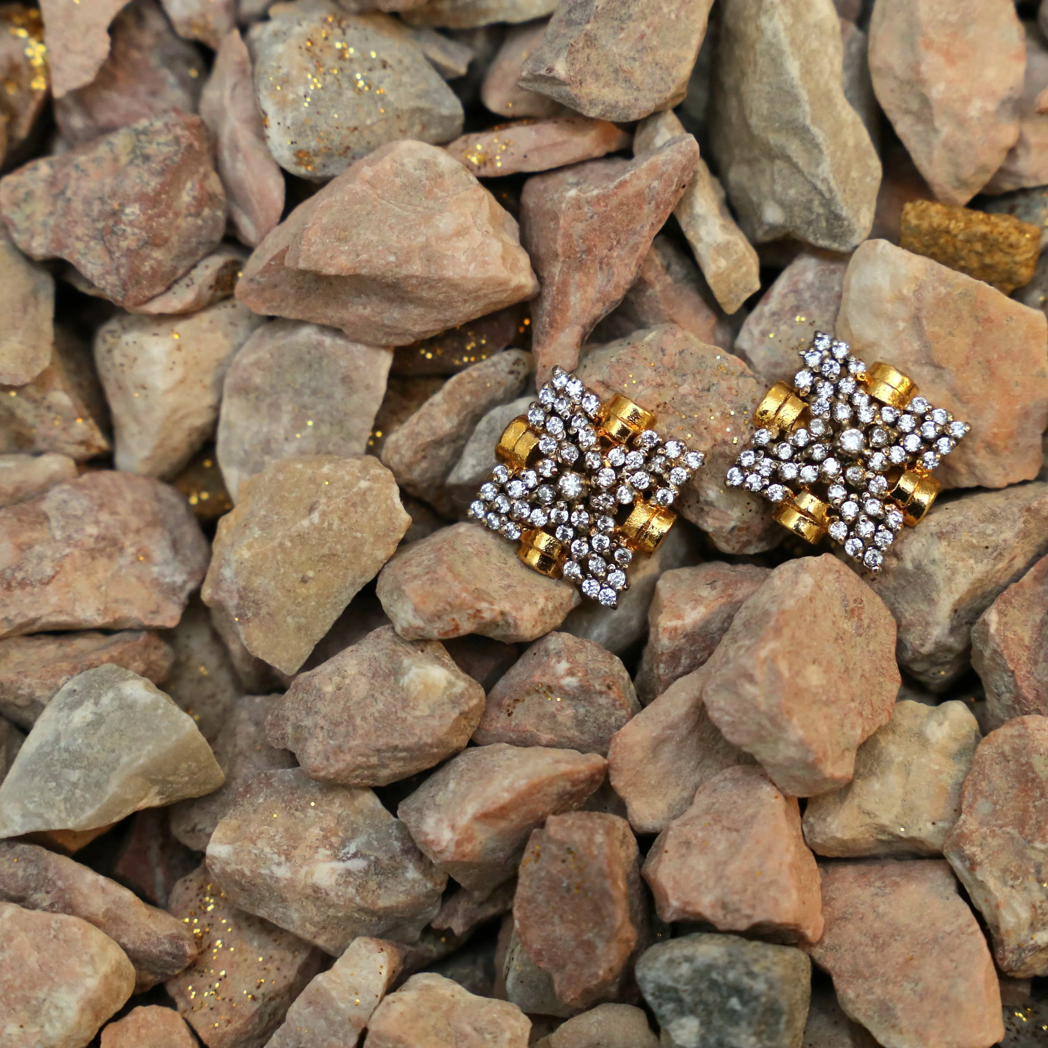 Gold & Silver Studs