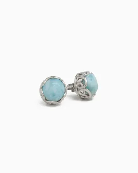 Large Princess Petroglyph Stone Studs - Larimar