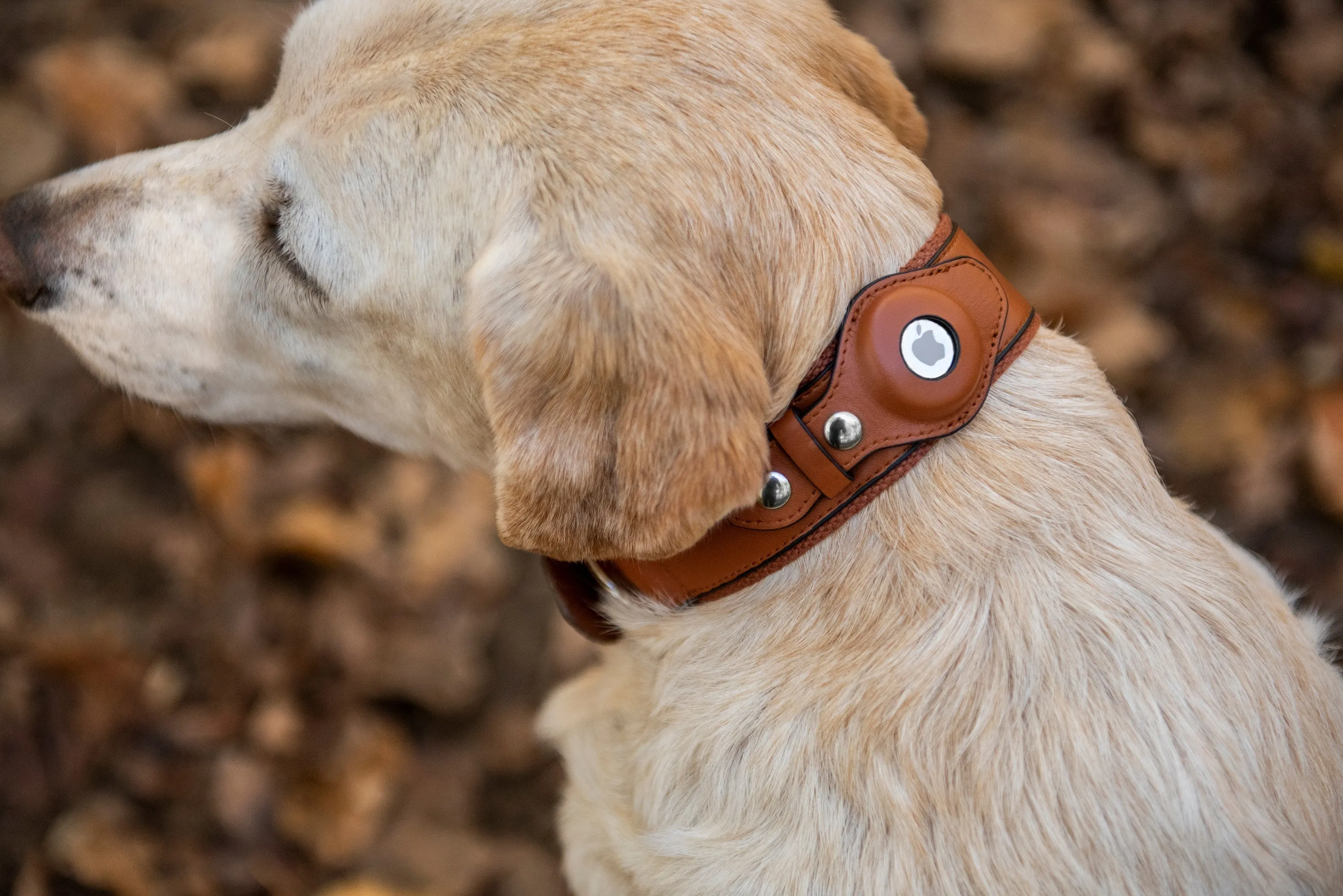 Nine Twenty Eight™ Faux Leather Apple AirTag Small Dog Collar