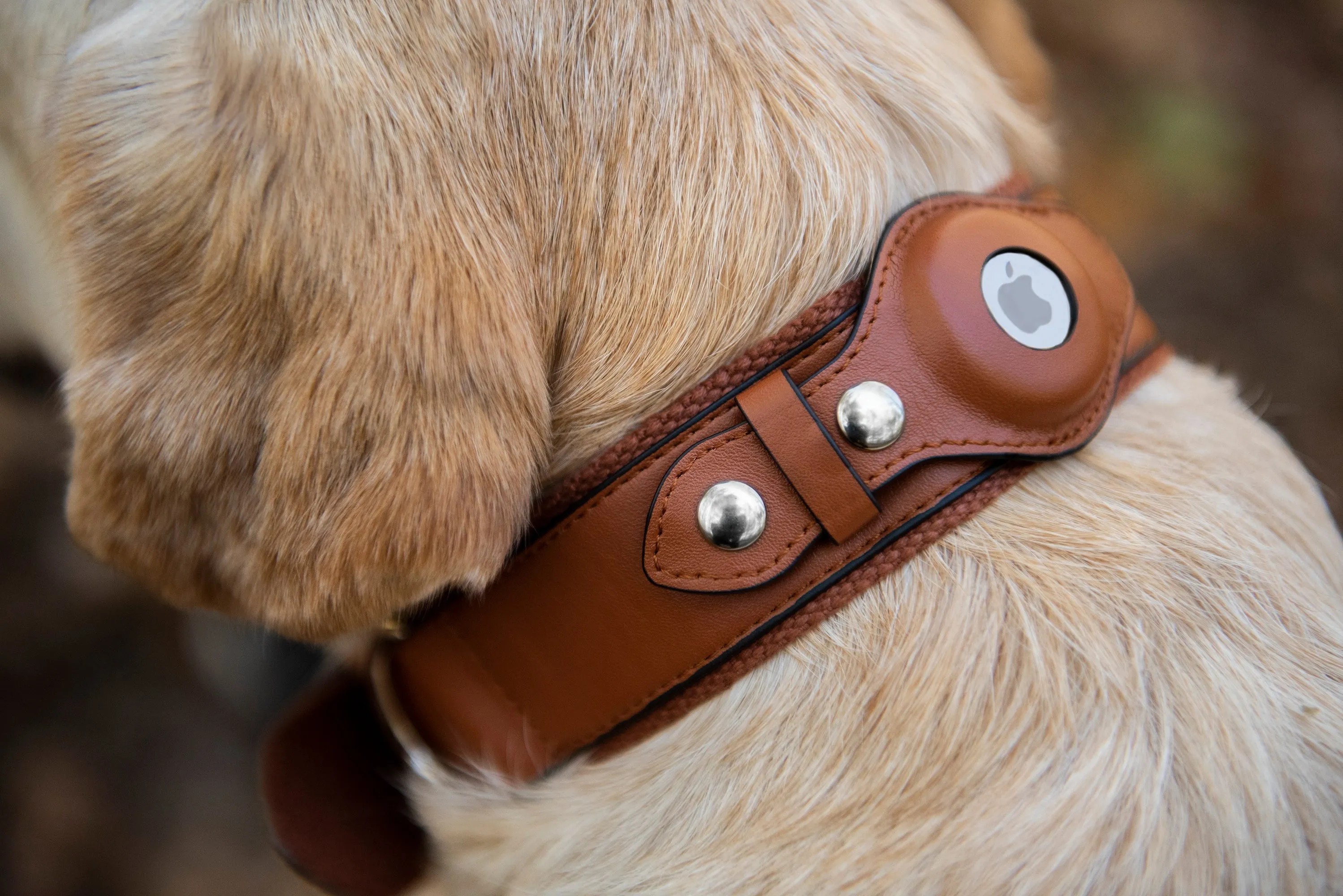 Nine Twenty Eight™ Faux Leather Apple AirTag Small Dog Collar