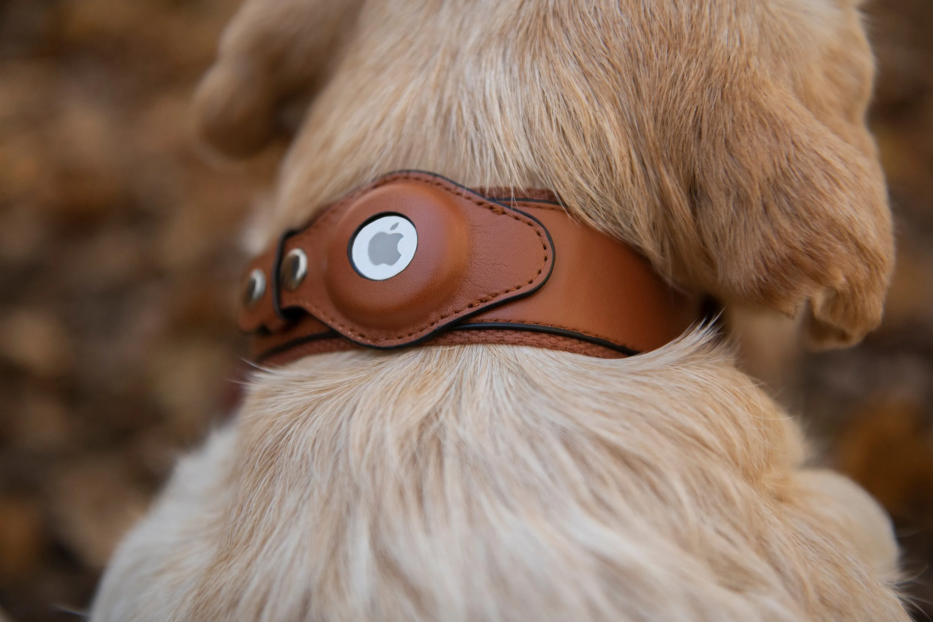 Nine Twenty Eight™ Faux Leather Apple AirTag Small Dog Collar