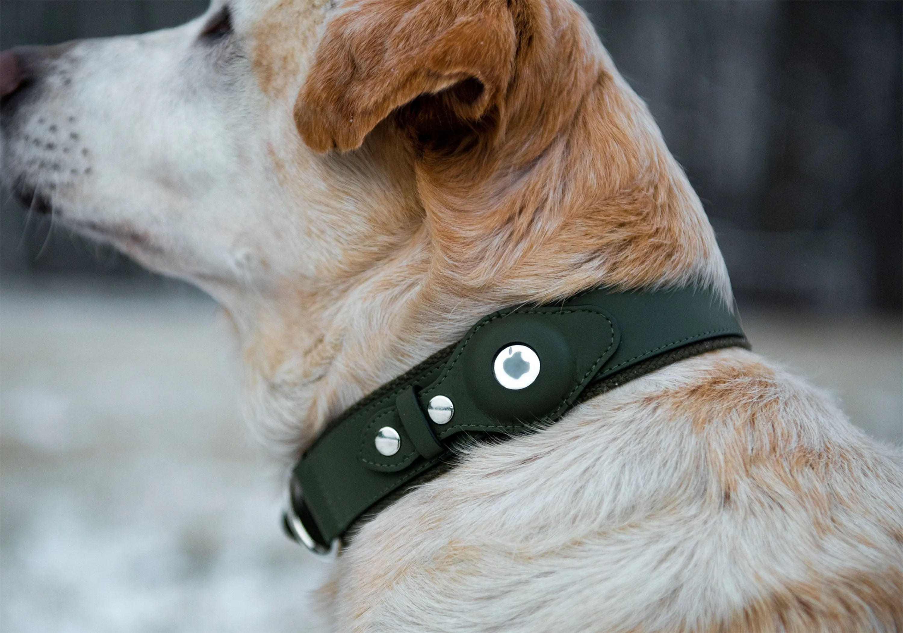 Nine Twenty Eight™ Faux Leather Apple AirTag Small Dog Collar