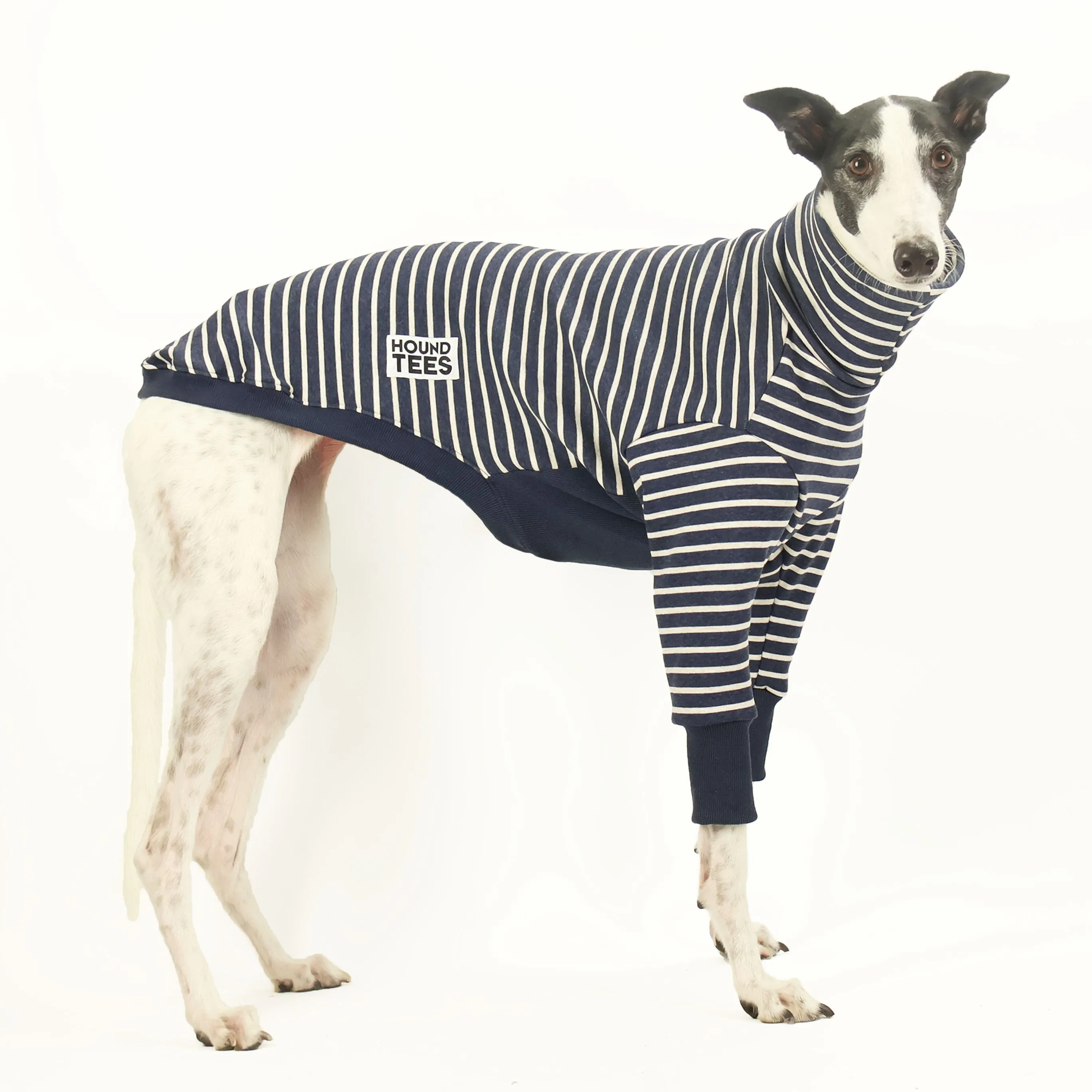 Pupperchino Greyhound Sweater