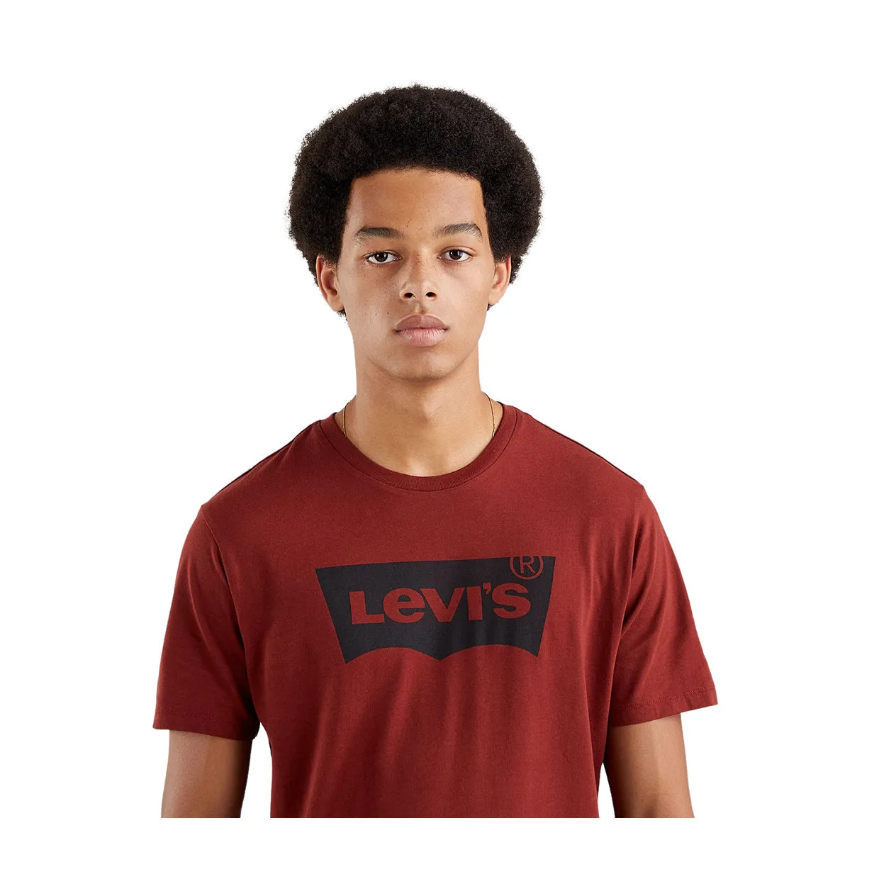 T-shirt Levi's Girocollo Stampata Bordeaux / Nero